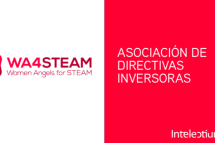 Women Angels For Steam